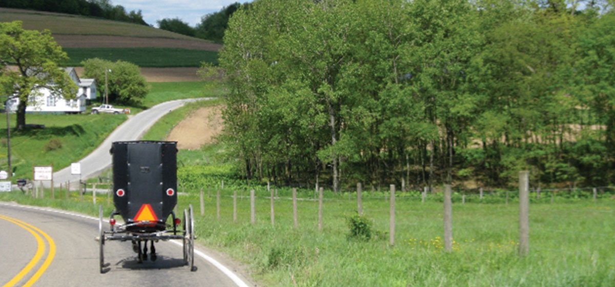 Amish buggy driving in Smicksburg