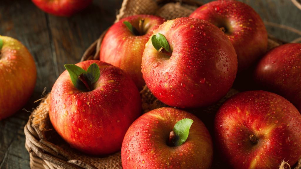 Apple Festival Visit Smicksburg